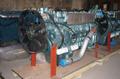 Двигатель Sinotruk WD615.96 Евро-3 371 л.c HOWO (ОРИГИНАЛ)